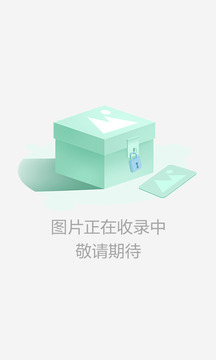 盛世龙城截图