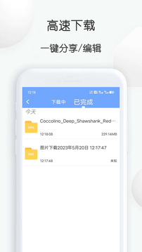 短视频提取大师截图