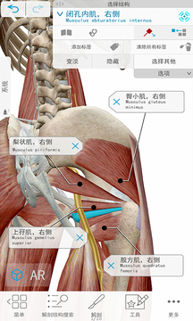 3D人体解剖截图